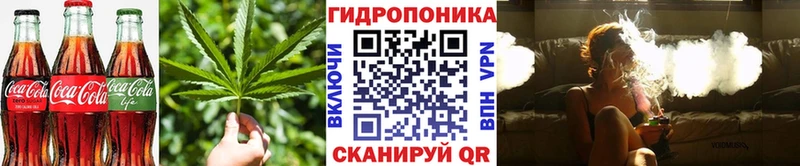 Купить Петушки Cannafood конопля