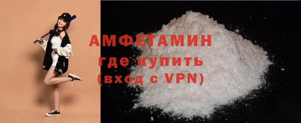 дмт Ельня
