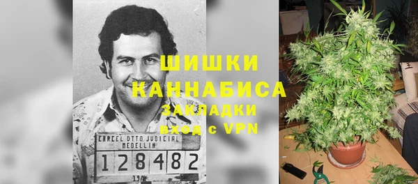 дмт Ельня