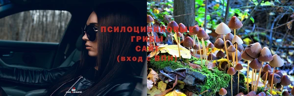 синтетический гашиш Елизово