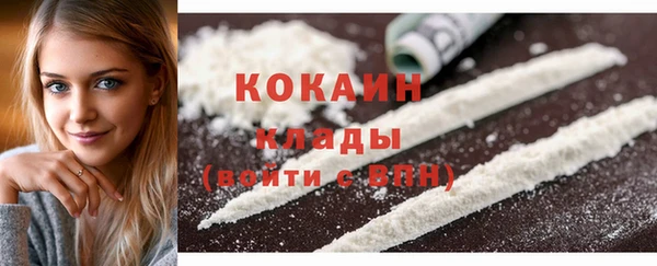 дмт Ельня
