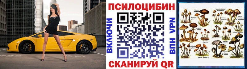 Купить где  Петушки  Галлюциногенные грибы MAGIC MUSHROOMS 